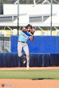 Sydney Blue Sox Baseball