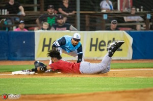 Sydney Blue Sox Baseball